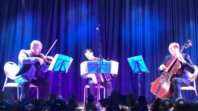 Трио Ощущения Trio Sensations Домашний кот A House Cat