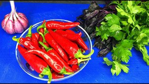 Моя "живая" грузинская аджика на зиму. Острая, без варки и уксуса