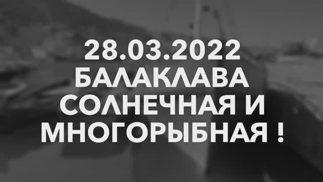28.03.2022 Балаклава солнечная и многорыбная!