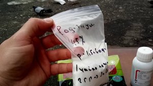 Советы по профилактике и лечению голубей.