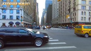 Там жизнь не сахар! Релоканты резко полетели обратно в Россию!