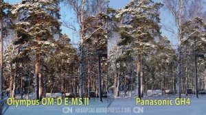 Olympus OM-D E-M5 II - image stabilization vs Panasonic GH4