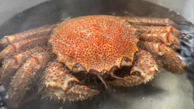 Как варить краба? Не думала, что это так просто! смотреть онлайн