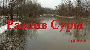 Разлив Суры 13 апреля 2018