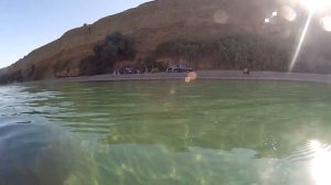 На Ниве в Крым