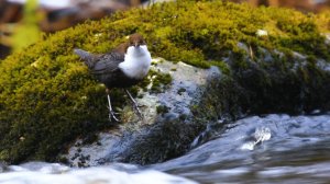 Дикие выходные с Павлом Глазковым. 6 апреля