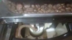 Обзор Кофемашины KRUPS EA829810 Black Prince, перед выдачей заказчику, с рекомендациями по уходу