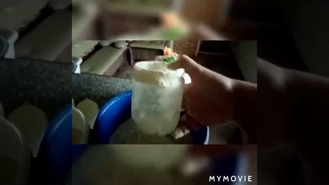 Мой способ выпаивания привозных телят 3х дневных до 1 месяца смотреть онлайн