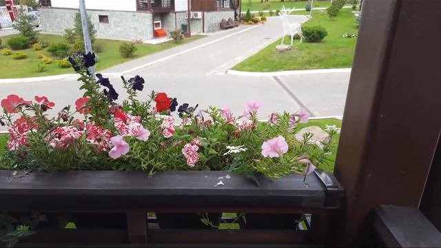 Манжерок, Республика Алтай Гостиничный комплекс (#квадрокоптер, #свысотыптичьегополета )