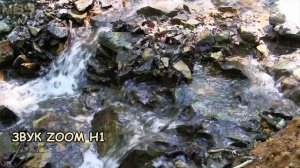 ZOOM H1 Тест на природе  Дополнение к основному ОБЗОРУ АУДИО РЕКОРДЕРА