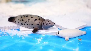 Fun Arctic and Antarctica Animal Figurines and Diorama - Learn Animal Names