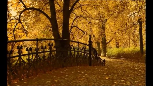 М. Шуфутинский "Натали"