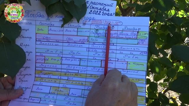 Почему так важно посадить саженцы садовых растений с 29 по 31 октября 2022 года?