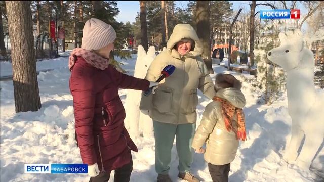 Самый большой на Дальнем Востоке каток для всех возрастов оборудуют на набережной Хабаровска смотреть онлайн