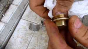 Фильтр для Тосола. Что там собралось?