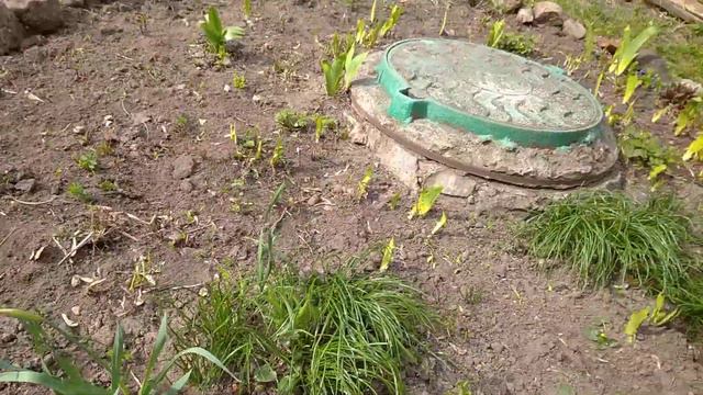 Первые весенние 💐 смотреть онлайн