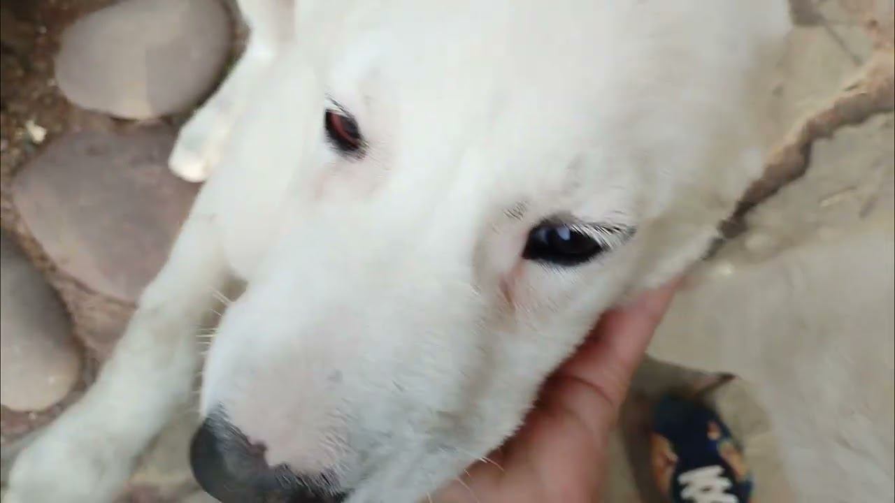 Время ужинать.... смотреть онлайн