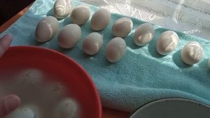 Гусиные яйца мою, дезинфицирую и закладываю в инкубатор из картонной коробки. Инкубация гусиных яиц