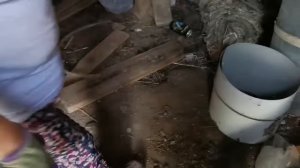 Влог: Купили дом в Краснодарском крае. Переехали на юг с Дальнего Востока.  Достали хейтеры!