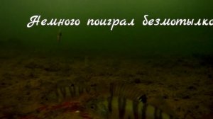 Рыбалка в Кемерово, Подводная съёмка