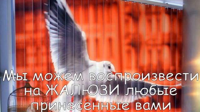 ЖАЛЮЗИ в Гомеле ЖАЛЮЗИ с РИСУНКОМ ФОТОПЕЧАТЬ