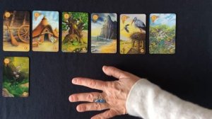 ЧТО МНЕ НУЖНО ЗНАТЬ ПРЯМО СЕЙЧАС. МЕДИТАЦИИ НА КАРТАХ ЛЕНОРМАН. КОЛЕНА