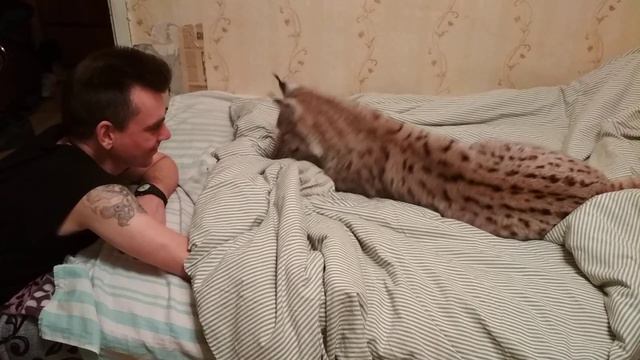 Симба с Андрюхой.