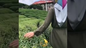 Ayollar uchun... barcha ayol bunibilishi shart...