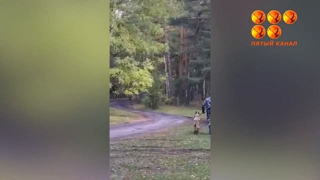 Чтобы «тихая охота» не стала последней. смотреть онлайн