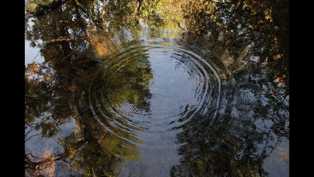 Хи Фи - Адыл Камалов на дунганском