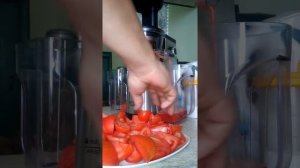 Соковыжималка шнековая ARISTON Hotpoint