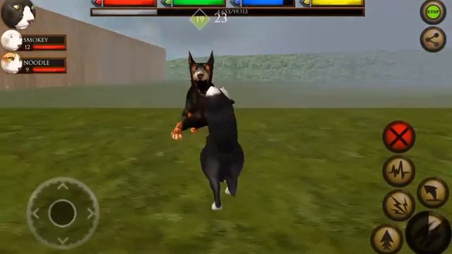 Ultimate Cat Simulator Episode 9: Doberman Boss Fight смотреть онлайн