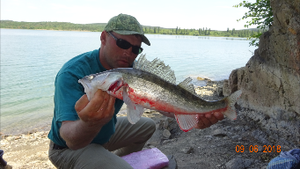 Ловля крупного судака нарезка видео про рыбалку.