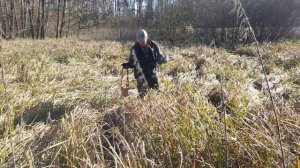 Поиск НЕМЕЦКОГО ТАНКА в БОЛОТЕ! В поисках сокровищ / In search of treasures