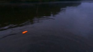 РЫБАЛКА НА реке ТУРА  в Свердловской области. ЛОВЯТ ТЕ КТО ЗНАЕТ ГДЕ И НА ЧТО....