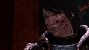 Dragon Age 2 : Роман Фенрис (Полная версия)