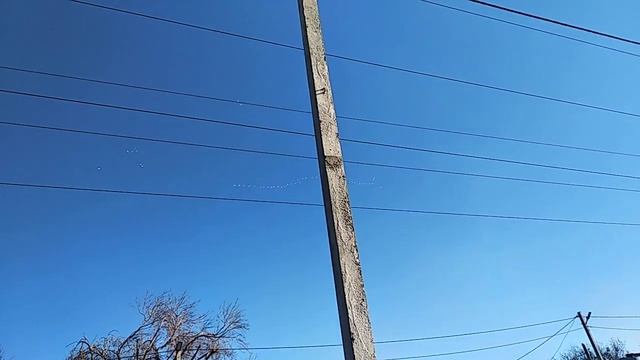 Улетают на Юг. смотреть онлайн