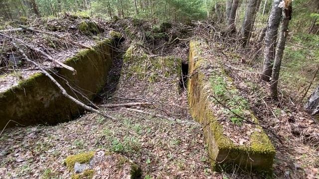 Увлекательная геология в окрестностях Питкяранты. смотреть онлайн