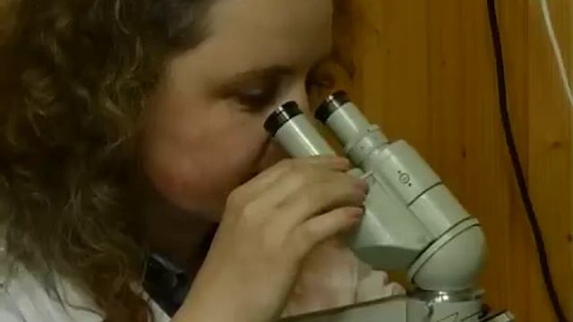 Тиса-1.Залізні нерви і гумор. смотреть онлайн