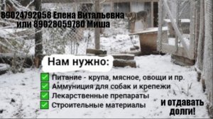 Поездка с Дорожником за крупой