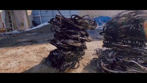 Голубей нужно гонять а не крылья резать. Мои голуби (пешеходы)