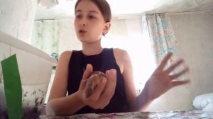 Улитки ахатины. Улитки сухопутные. Ахатины белоногие, тигровая. Ульяна Time.