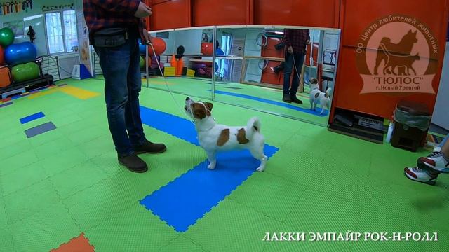 200606 01 2020 дрт ЛАККИ ЭМПАЙР РОКН РОЛЛ смотреть онлайн