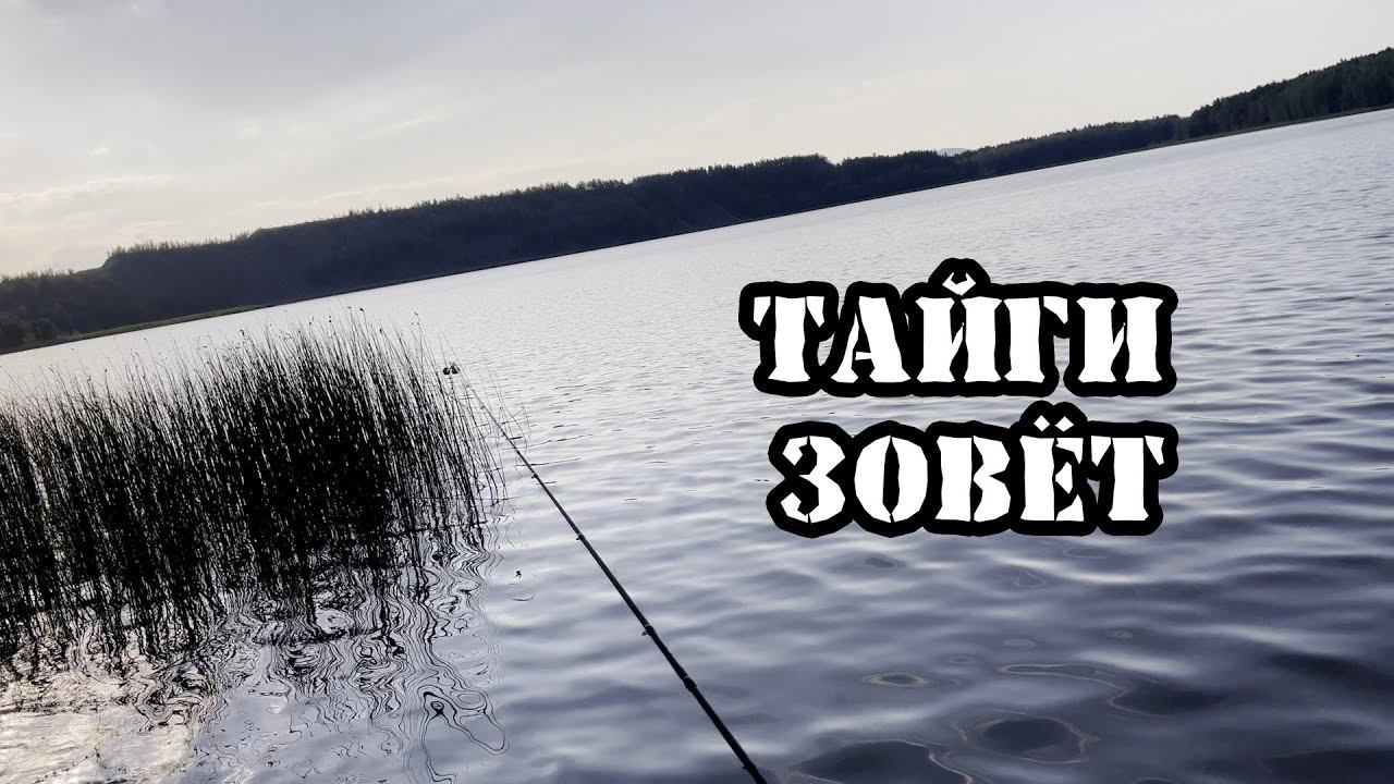 Рыбалка на фидер с сыном. Тайги просто испытывает нервы смотреть онлайн