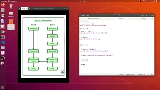 Socket programming explained | With python code | #socket #python
