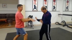 Минхэ Цюань,Ю Шифу объяснение элемента из таолу. Ноябрь 2019г.