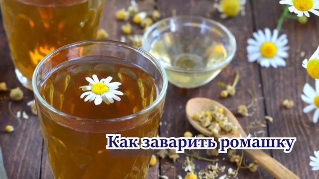 Ромашка для печени. Польза. Как заварить. Рецепт смотреть онлайн