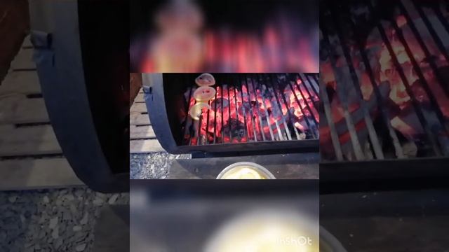 Дорадо в смоукере. Dorado cooked in the smoker