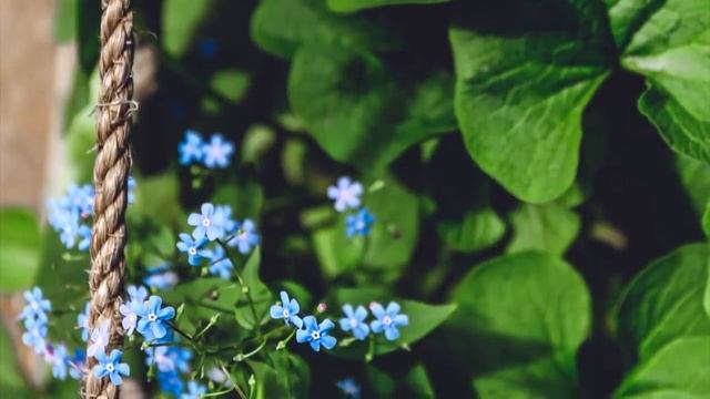 Маленький мальчик выбежал на улицу прося о помощи. А когда мужчина зашел в дом