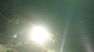 манта и Кузя_еще